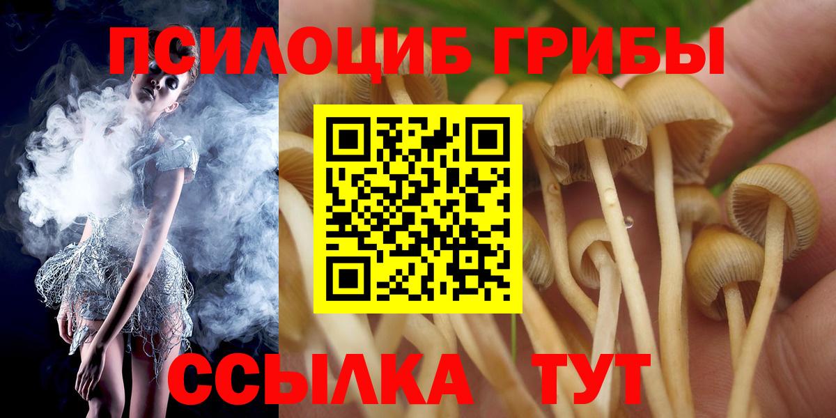 Галлюциногенные грибы мицелий  Вход с VPN  Моршанск 